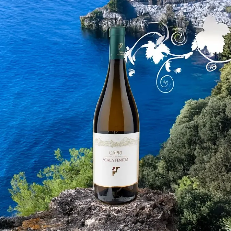 Bianco Capri DOC 2023 Scala Fenicia