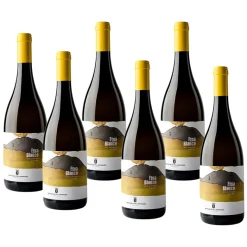 Bianco Etna DOC 2024 - Barone Di Villagrande