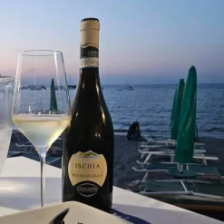 Biancolella Ischia DOC 2023 Cantine Tommasone