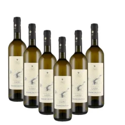 Biancolella Lazio IGT 2021 Antiche Cantine Migliaccio