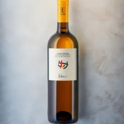 Campi Flegrei Falanghina DOC 2023 La Sibilla