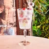 27 cl - Arcoroc Monti Calice Cocktail Conic in Vetro - Set 6 Pezzi