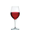 29 cl - Bormioli Rocco Premium Calice Degustazione in Vetro - Set 6 Pezzi
