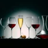 67.5 cl - Bormioli Rocco Premium Calice Vino Rosso in Vetro - Set 6 Pezzi