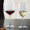 60 Cl Bormioli Rocco Premium Calice Vino Bianco in Vetro - Set 6 Pezzi