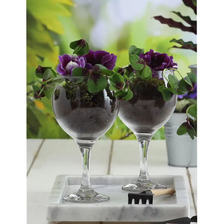 21 cl - Lav Misket Calice Multiuso in Vetro - Set 6 Pezzi