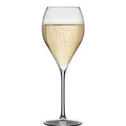 42 cl - Rastal Franciacorta Calice Vino Bianco in Vetro - Set 6 Pezzi