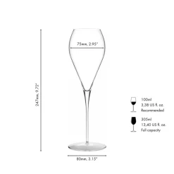 30.5 cl - Riedel Bellorotondo Calice Vino Champagne In Vetro