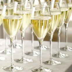 14.5 cl - Stolzle Lausitz Cuvee Calice Flute in Vetro - Set 6 Pezzi