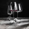 54 cl - Zieher Star Set Calici e Decanter in Vetro Borosilicato - Set 3 Pezzi