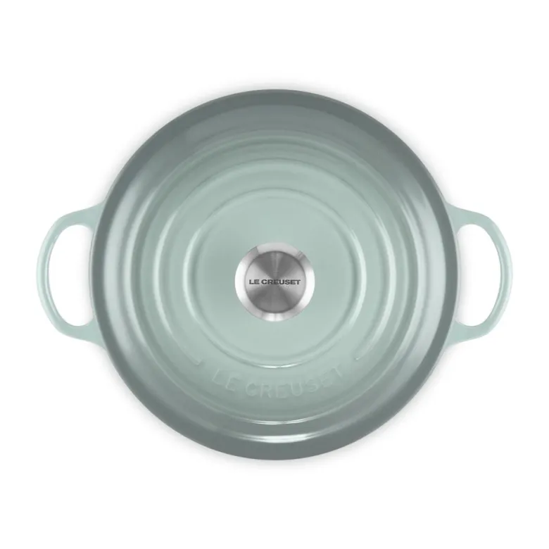 26 cm - Le Creuset Evolution Marmitta Casseruola Rotonda In Ghisa Vetrificata
