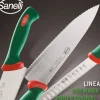 18 cm - Sanelli Premana Coltello Giapponese In Acciaio inox AISI425 - Polipropilene