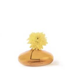 6 cm - Zafferano Un Fiore Vaso Fiori In Vetro Borosilicato