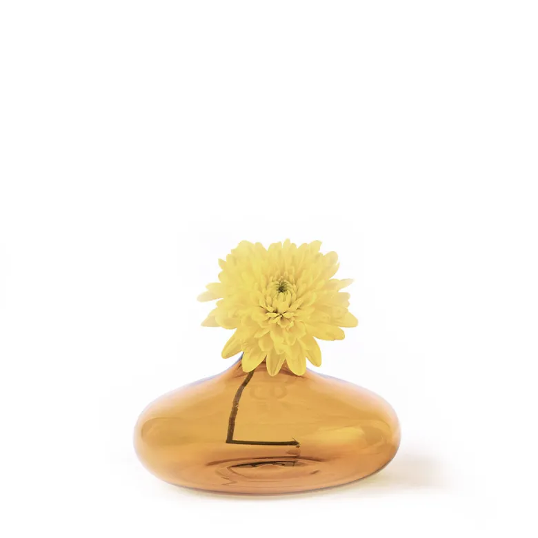 6 cm - Zafferano Un Fiore Vaso Fiori In Vetro Borosilicato