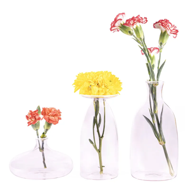 6 cm - Zafferano Un Fiore Vaso Fiori In Vetro Borosilicato
