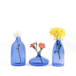 6 cm - Zafferano Un Fiore Vaso Fiori In Vetro Borosilicato