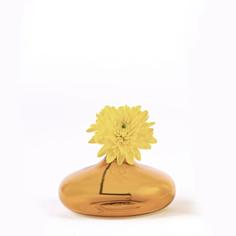 6 cm - Zafferano Un Fiore Vaso Fiori In Vetro Borosilicato