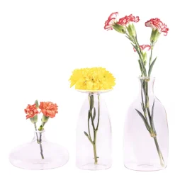 24 cm - Zafferano Un Fiore Vaso Fiori In Vetro Borosilicato