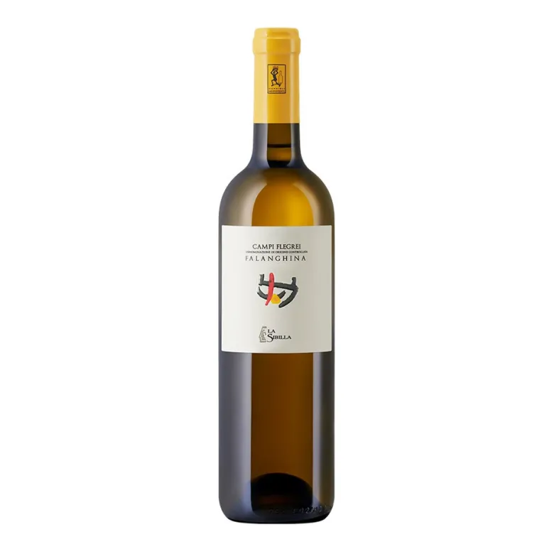 Falanghina Campi Flegrei DOC 2024 - La Sibilla