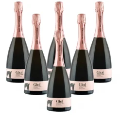 Gioì Brut Rosè Metodo Classico Spumante Rosè 2020 Cantina San Salvatore 1988