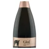 Gioì Extreme Brut Rosè Metodo Classico Spumante 2019 Cantina San Salvatore 1988