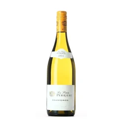 La Petite Perriere Sauvignon Val De Loire AOC 2024 Tappo a Vite - Saget La Perriere