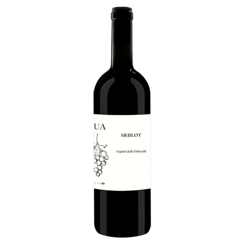 Merlot Vigneti Delle Dolomiti IGT 2023 - L'Ua