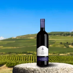 Moye Bonarda Frizzante Piemonte DOC 2022 Cascina Gilli