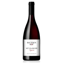 Muhlanger Lagrein Alto Adige DOC 2023 Bio Tenuta Brunnenhof