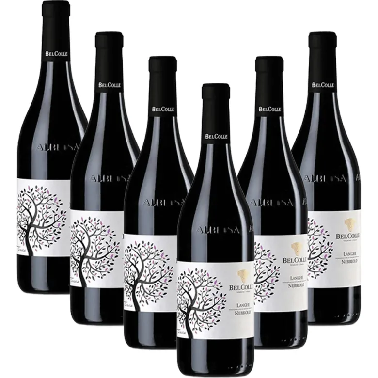Nebbiolo Langhe DOC 2024 - Bel Colle