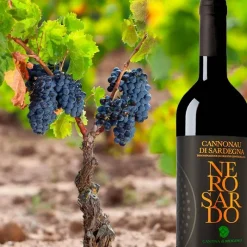 Nero Sardo Cannonau di Sardegna DOC 2016 Cantina di Mogoro