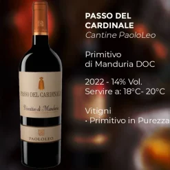 Passo Del Cardinale Primitivo Di Manduria DOC 2022 Cantina Paololeo