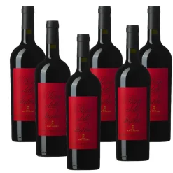 Pian Delle Vigne Rosso di Montalcino DOC 2023 Cantine Marchesi Antinori