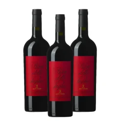 Pian Delle Vigne Rosso di Montalcino DOC 2023 Cantine Marchesi Antinori