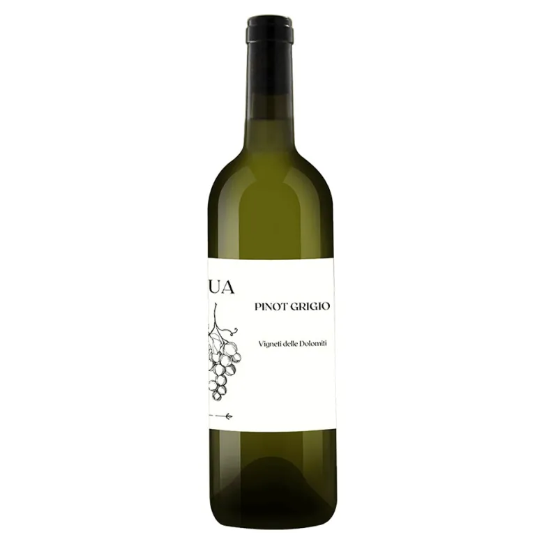 Pinot Grigio Vigneti Delle Dolomiti IGT 2023 - L'Ua