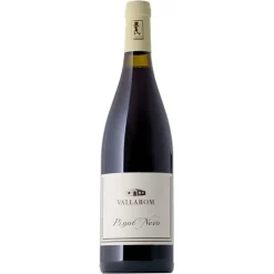 Pinot Noir Vallagarina IGT BIO 2022 Azienda Agricola Vallarom