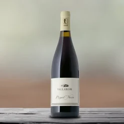 Pinot Noir Vallagarina IGT BIO 2022 Azienda Agricola Vallarom
