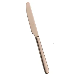 Pintinox Casali Coltello Frutta In Acciaio Inox - Set 12 Pz