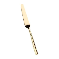 Pintinox Infinito Coltello Pesce In Acciaio Inox Forgiato - Set 12 Pz