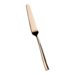 Pintinox Infinito Coltello Pesce In Acciaio Inox Forgiato - Set 12 Pz