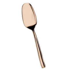 Pintinox Infinito Cucchiaio Gourmet In Acciaio Inox Forgiato - Set 12 Pz