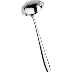 Pintinox Maitre Mestolo Servire In Acciaio Inox
