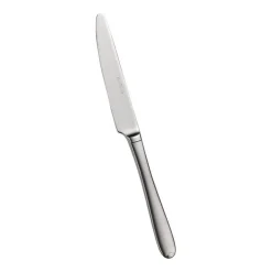 Pintinox Palladium Coltello Frutta In Acciaio Inox - Set 12 Pz