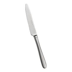 Pintinox Palladium Coltello Frutta In Acciaio Inox - Set 12 Pz