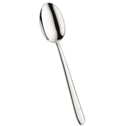 Pintinox Palladium Cucchiaione Servire In Acciaio Inox