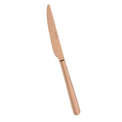 Pintinox Sky Coltello Frutta In Acciaio Inox - Set 12 Pz
