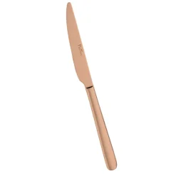 Pintinox Sky Coltello Tavola In Acciaio Inox - Set 12 Pz