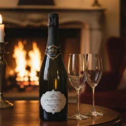 Poggio dei Duca Pinot Noir Oltrepò Pavese DOCG 2019 Metodo Classico Calatroni