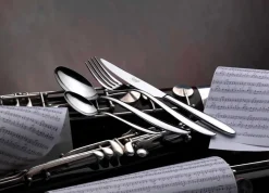 Salvinelli Fast Coltello Tavola In Acciaio Inox - Set 12 Pz