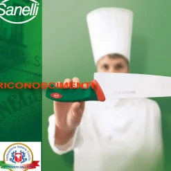 Sanelli Premana Coltello Formaggio In Acciaio inox AISI425 - Polipropilene